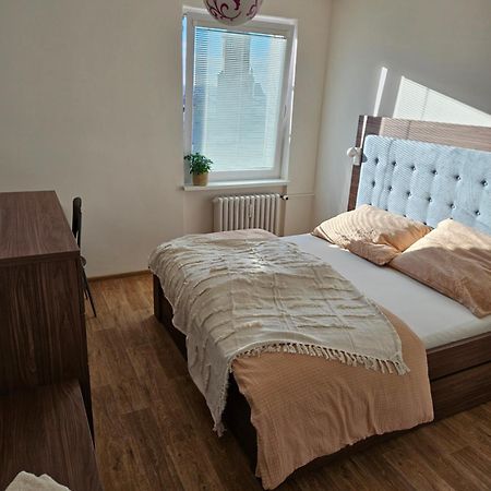 Byt V Centru Frydku-Mistku Frýdek-Místek Buitenkant foto